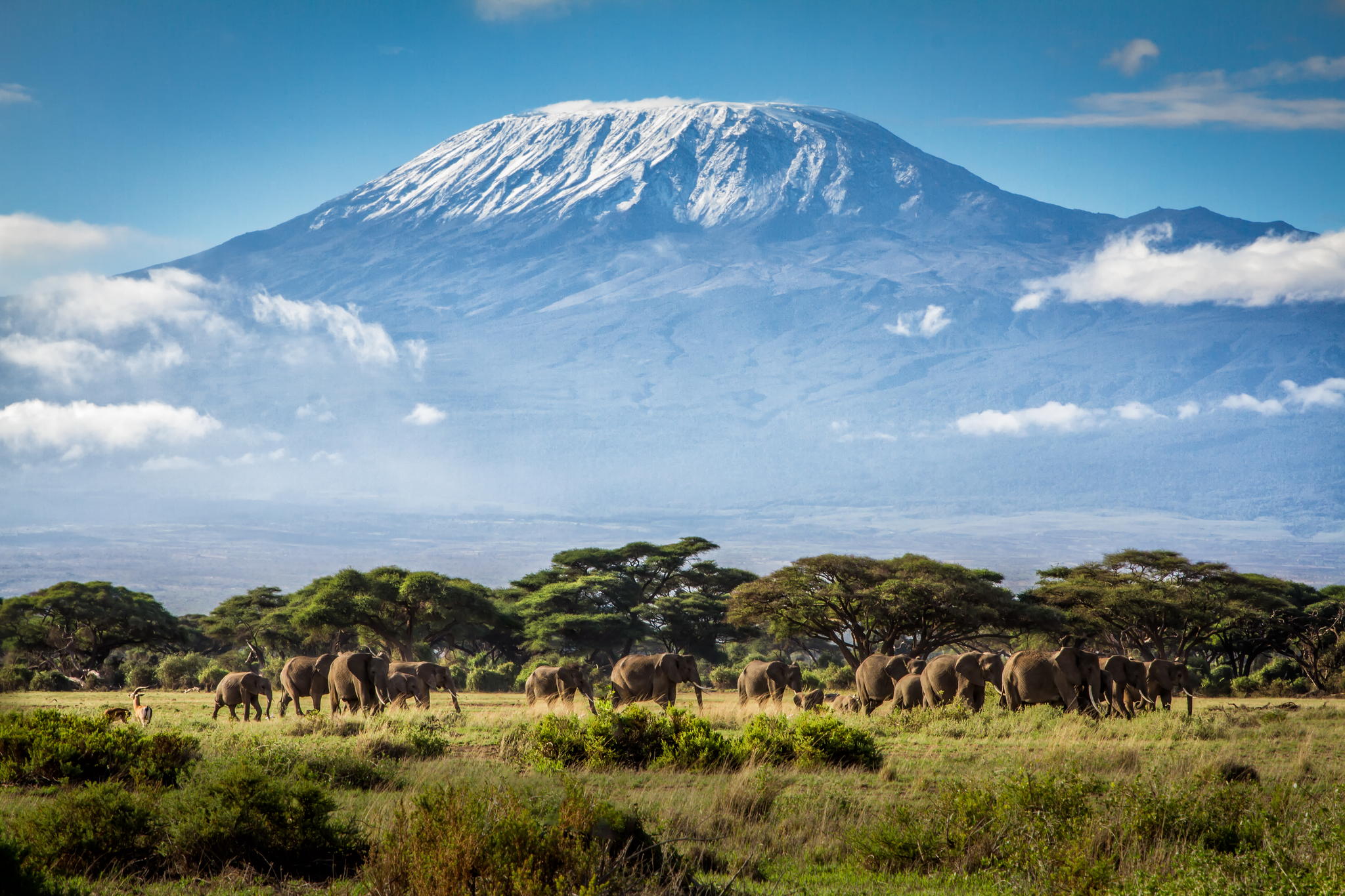 Kilimanjaro Àfrica