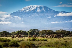 Kilimanjaro Àfrica1